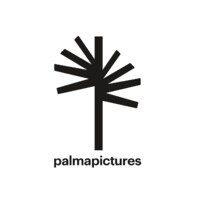 Palma Pictures logo - Similar company to Mn Studios