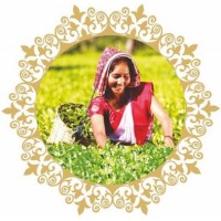 Delavari Tea logo - Similar company to Desi Dum Tea