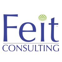 Feit Consulting logo - Similar company to Asutex China