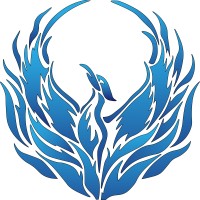 Team Phoenix Racing - SVNIT logo - Similar company to Sae Phoenix Aero