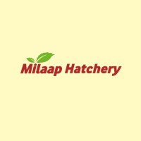 Milaap Hatchery logo - Similar company to Milaap Group