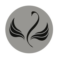 TitanSwan Ltd. logo - Similar company to Bv Consulting Ltd.