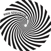 Sensorium logo - Similar company to Fly & Race Simulations Gmbh