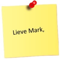 Lieve Mark logo - Similar company to Limewise Bv