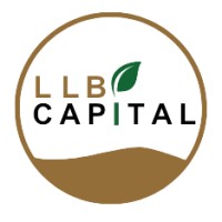 LLB Capital logo - Similar company to Soliani S.A.S.