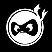NINJAS INTERN logo - Similar company to Python Data Developer