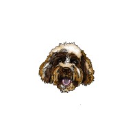 Baxters Boutique logo - Similar company to Ruff-It.Co.Uk