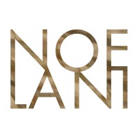 Noelani Design logo - Similar company to Studio Terry