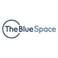 The Blue Space logo - Similar company to Survplanz Ltd
