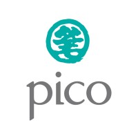 Pico Los Angeles logo - Similar company to Studio Atao