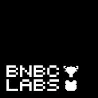 BNBC Labs Inc. logo - Similar company to Ward Audits