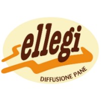 ELLEGI SRL logo - Similar company to B.Appah Electricals Ltd
