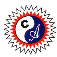 Carnival Academy of Education logo - Similar company to Artificial Intelligence (Aimlverse Lab)