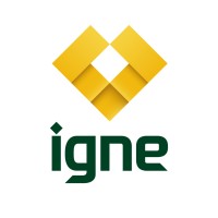 Igne logo - Similar company to Drilcorp
