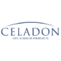 Celadon logo - Similar company to Digital Solutions Lab