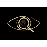 Global Quo Analysis Consulting S.L. logo - Similar company to Sicura, Intelligence & Security