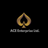 ACE Enterprise Ltd. logo - Similar company to Rdzyn