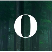 Owlish Agency logo - Similar company to Shine Influence Management