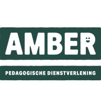 Amber Pedagogische Dienstverlening logo - Similar company to Proctos Kliniek
