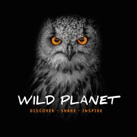 Wild Planet Official logo - Similar company to Truth Acquisition