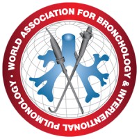 WABIP logo - Similar company to Pygmalion-It
