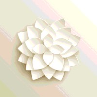 Coach Kaushal logo - Similar company to Aidentify
