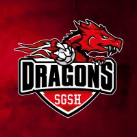 SGSH DRAGONS logo - Similar company to Futebol Clube De Gaia