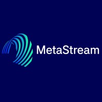MetaStream Consulting logo - Similar company to Enrichverx Ai