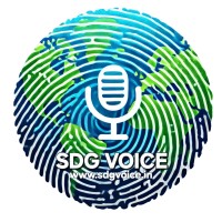 SDG Voice logo - Similar company to Soulbound