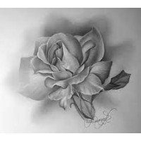 TT logo - Similar company to Terra Sentry