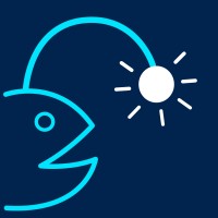 Deep Sea Strategy logo - Similar company to Flawless Match Inc