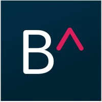 Basal AI logo - Similar company to Dream Buzz Solutions