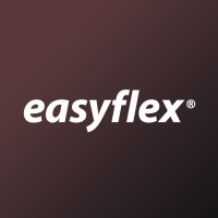Easyflex NL logo - Similar company to 2Foqus