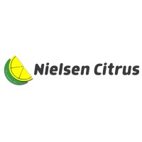 Nielsen Citrus logo - Similar company to Kc Global Network Inc