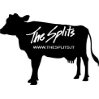 THE SPLITS SRL logo - Similar company to Valplastick Srl