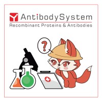AntibodySystem logo - Similar company to Imcbio