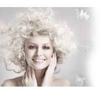 ModelSwarm.LLC logo - Similar company to Experience Asian Art