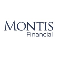 Montis Financial logo - Similar company to Cloudmine Group, Llc