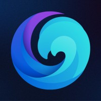 Savvy Partner logo - Similar company to Digital Mastermind Group
