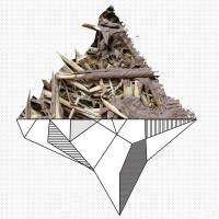 Accademia Nel Cantiere - La Termitière logo - Similar company to F:L Architetti