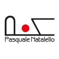 Rappresentanze Pasquale Natalello logo - Similar company to Data Speed S.R.L.