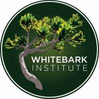 Whitebark Institute logo - Similar company to Wildfire Analytics