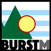 Burst Management, LLC logo - Similar company to Digital Mentis
