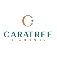 Caratree Diamonds logo - Similar company to Amit J Ghosh