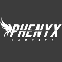 Phenyx company logo - Similar company to Optim Audit