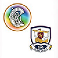 Galway Camogie County Board logo - Similar company to Has Integration