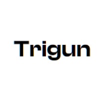 Trigun.nl logo - Similar company to Graphic Design - Bodegraven