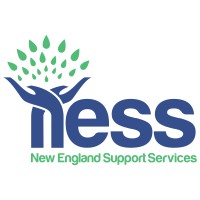 New England Support Services PTY LTD logo - Similar company to Pinnacle People Solutions Australia