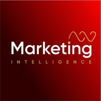 Marketing Intelligence - Digital Marketing Agency Ireland logo - Similar company to Digital B2B Services Limited