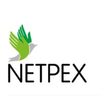 Netpex logo - Similar company to Cherry Care Children’S Home Ltd